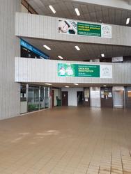 Emerald Garden (D1), Condominium #153698072